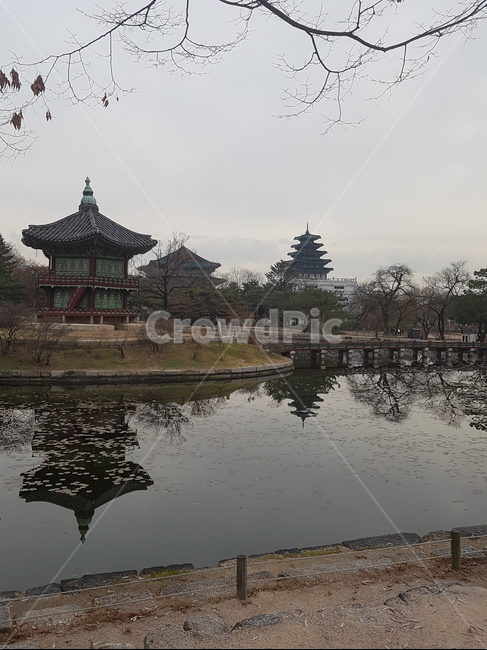 한국랜드마크,한국전통,자연,경복궁,한국자연풍경,한국전통,한국문화,korean traditional,korean culture,랜드마크,landmark,tourist attraction,한국랜드마크,한국관광지,한국명소,korea landmark,korea tourist attraction,건축물,건물외관,exterior,building,structure,architecture,construction