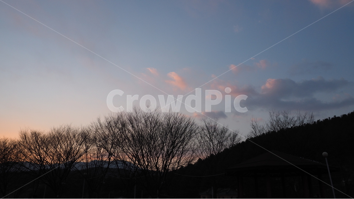 노을,해질녘,선셋,저녁시간,저녁,풍경,자연,숲,나무,산,구름,실루엣,sunset,편안한풍경,자연,풍경,nature,landscape,silhouette,outdoors,옥외