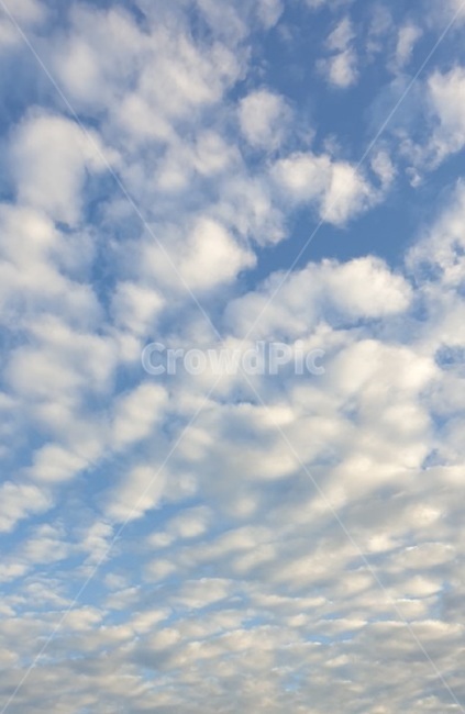 구름,하늘,특이한,뭉게,맑은,자연,풍경,nature,landscape,outdoors,옥외,azure sky,푸른 하늘,sky
