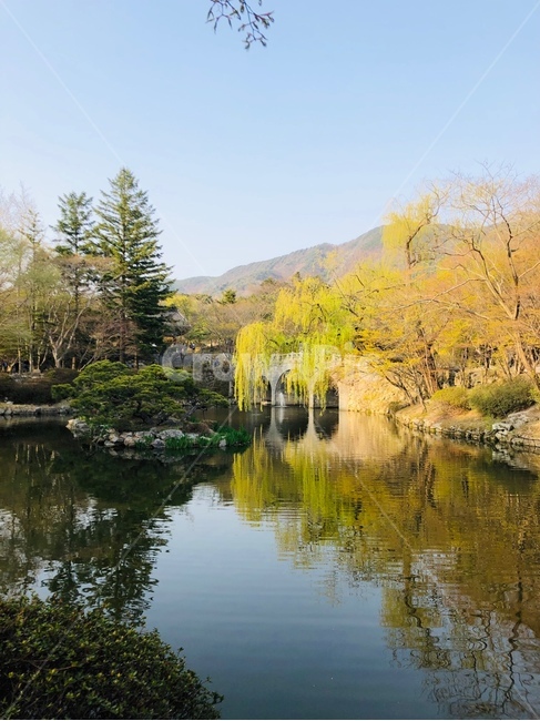 불국사,경주,불국사다리,불국사봄,호수,초록
