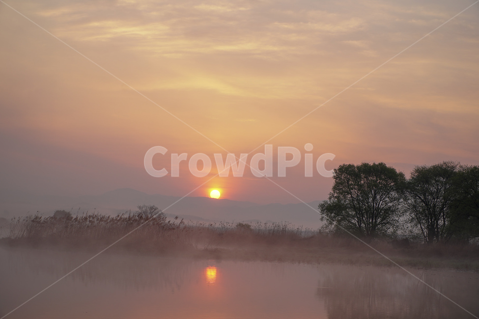 우포늪일출,uposwampsunrise,새벽안개,dawnfog,우포늪,uposwamp