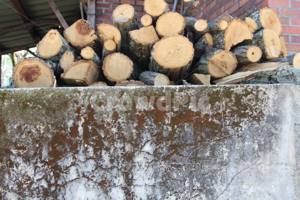 뗄감,나무,wood,lumber,재목,나무,trees,wood