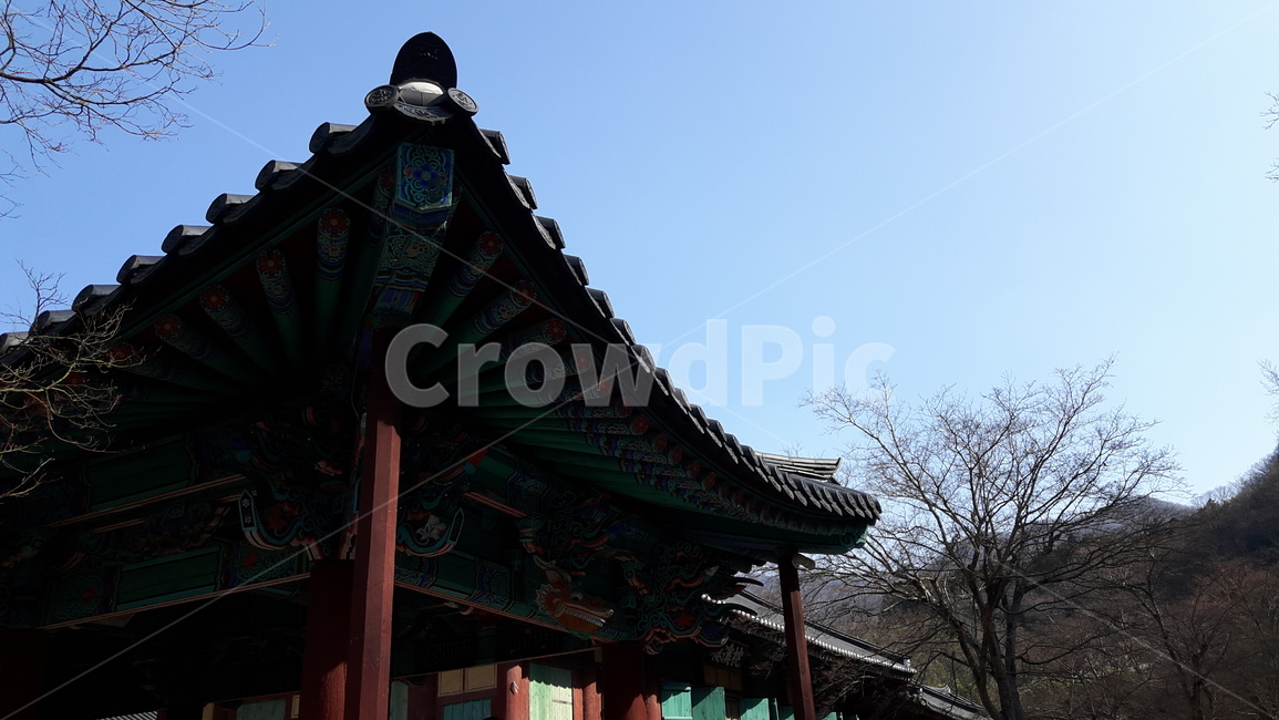 사찰,절,기와,처마,지붕,주문
