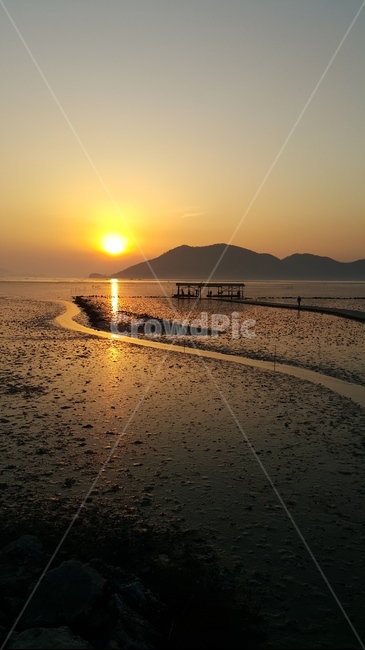 순천,와온해변,일몰,겨울일몰,갯벌,자연,풍경,nature,landscape,flare,플레어,light,빛,sunlight,햇빛