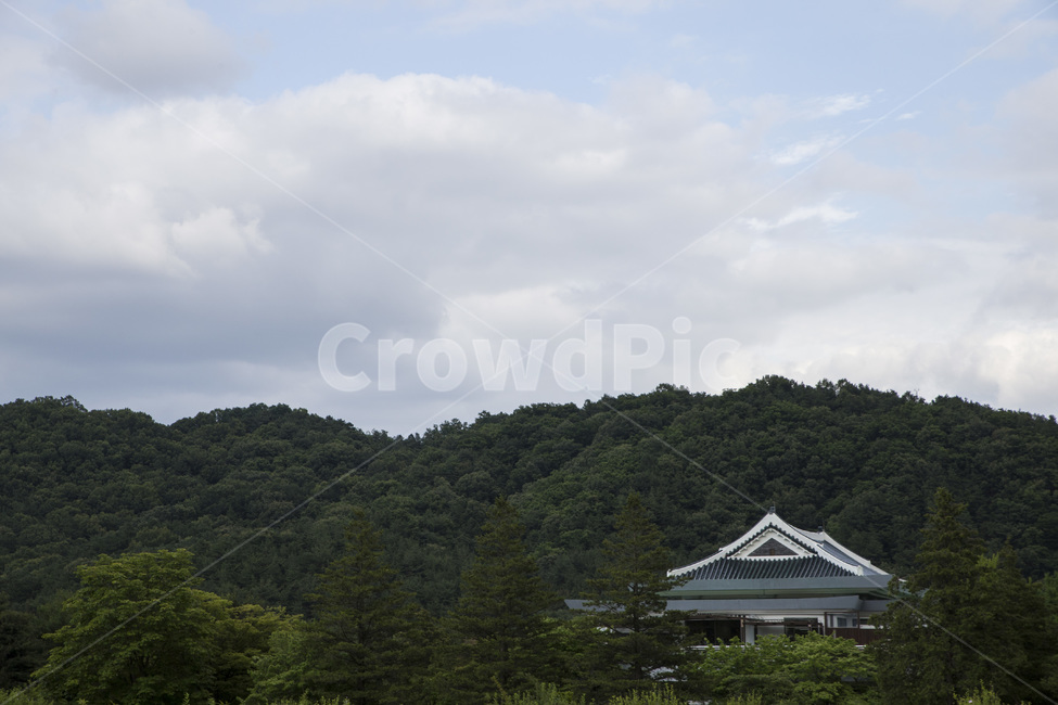 대전국립현충원,기와집,산,산맥,기와,산속