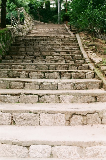 산책,계단,돌계단,여유,한적함,여름,숲길