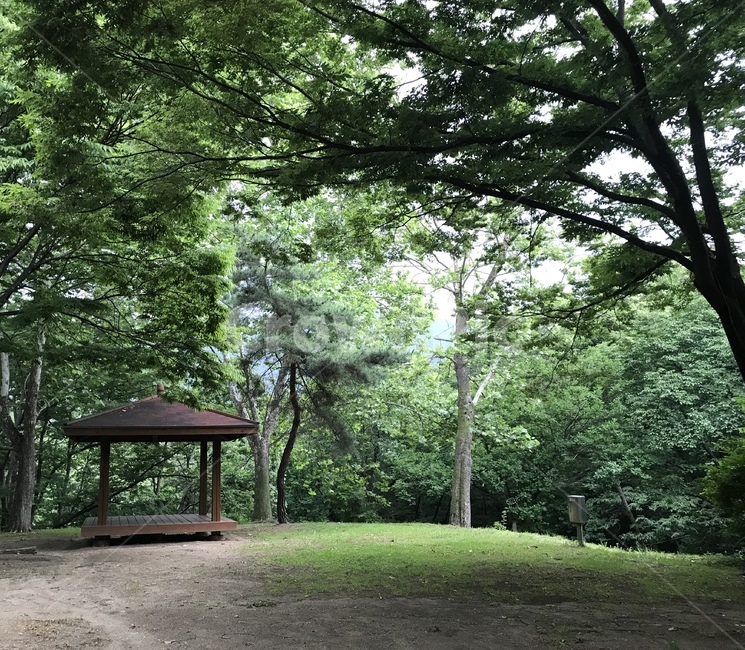 초록,정자,자연,여름,힐링,산
