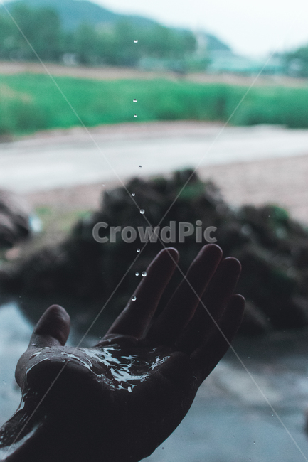 손,비,빗방울,물방울,손바닥,어둠,palm,hand,rain,raindrop,water,waterdrop,dark,사람,인물,인간,human,person,신체일부,몸,body,감성,sensible,feeling