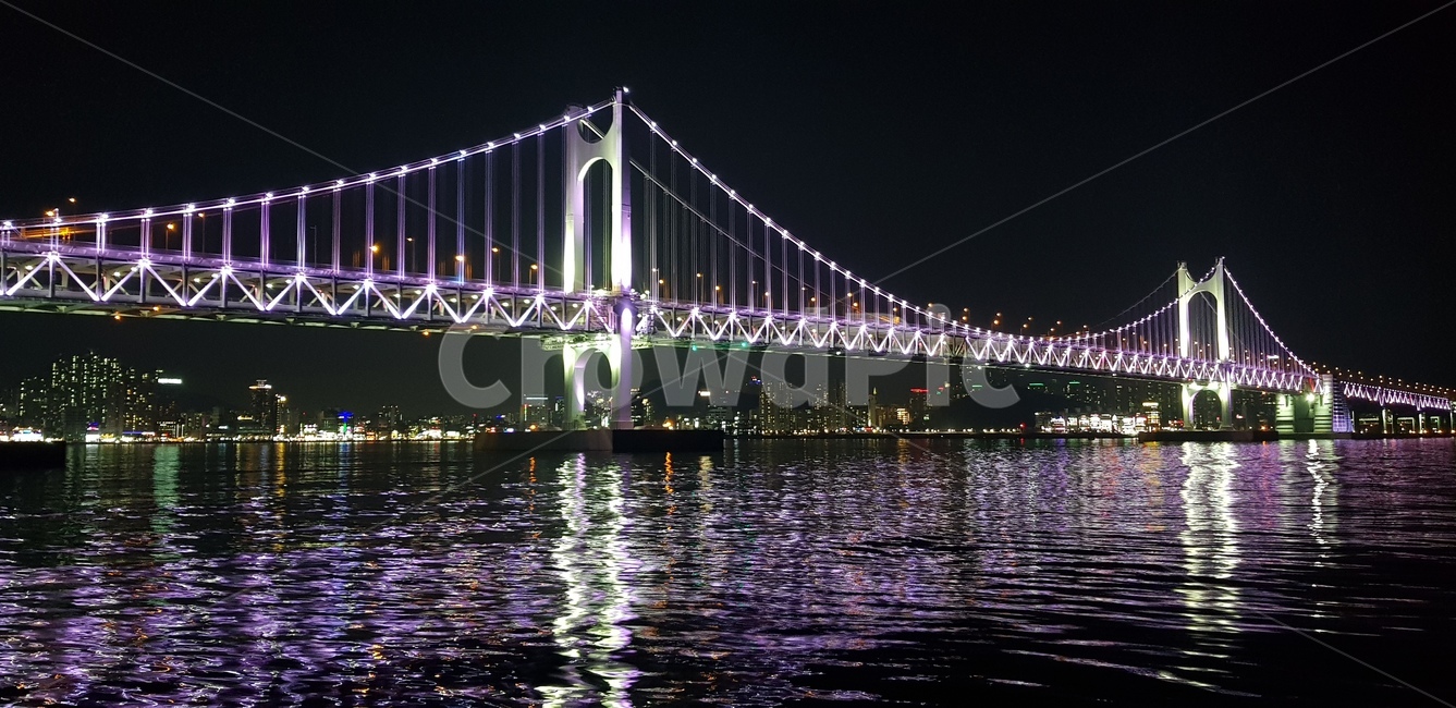다리,건물,야경,부산,해운대,풍경