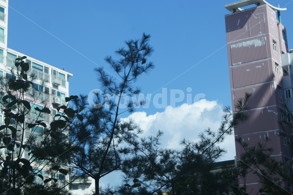 아파트,건물,구조물,집,하늘,나무,구름,파란색,blue,house,apartment,tree,sky,building