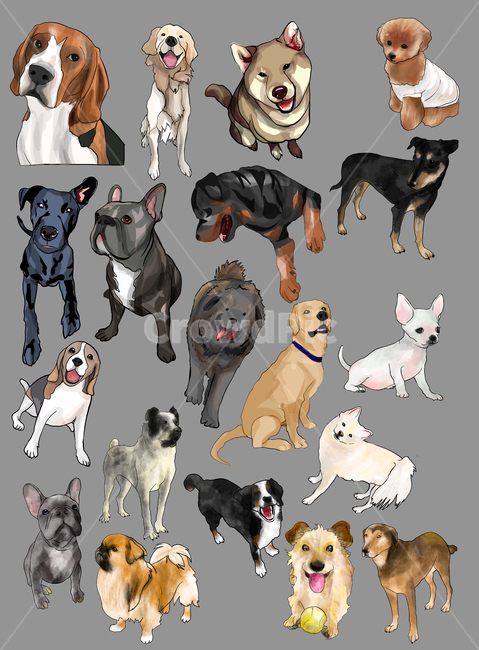 강아지,개,강아지일러스투,일러스트,dog,dogillustration,illustration,개,강아지,dog,doggy,그래픽,일러스트레이션,graphic,illustration