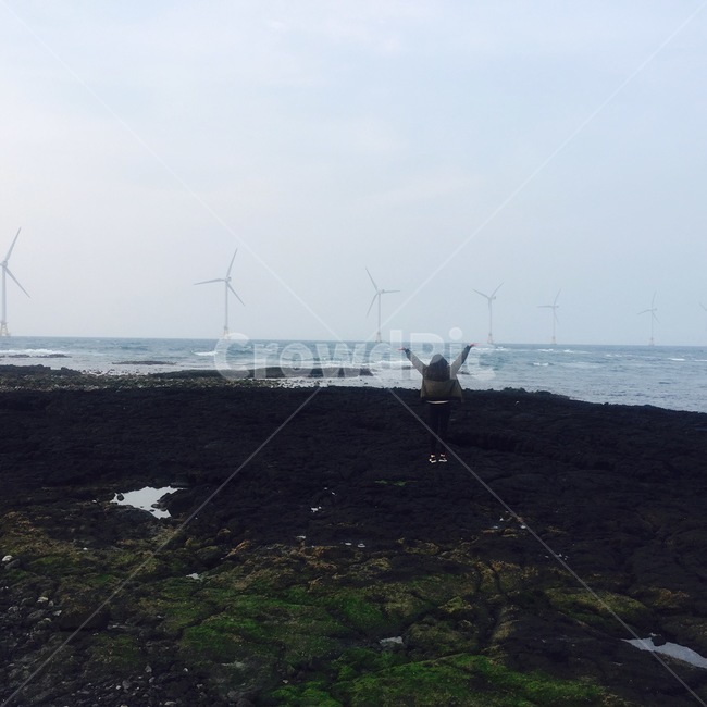 제주도,바다,풍경,풍차,여행