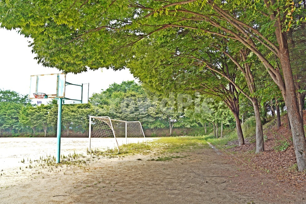 학교운동장,여름,평범함,운동장,그늘,휴식,시원함