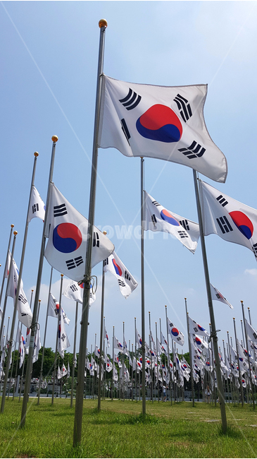 태극기,하늘,바람,태극물결,깃발,기상,잔디,애국,대한민국,역사,휘날리는,태극,희망,힘