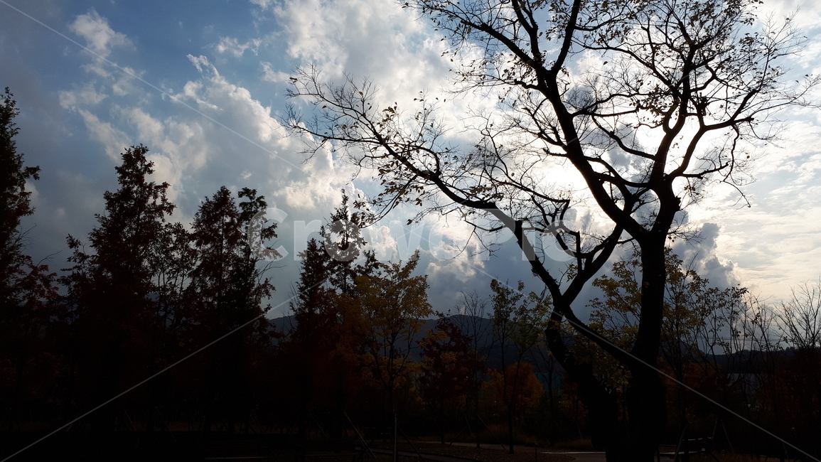 청계산,가을,하늘,단풍,나무,구름,자연,풍경,nature,landscape,tree,plant,식물,outdoors,옥외,weather,날씨