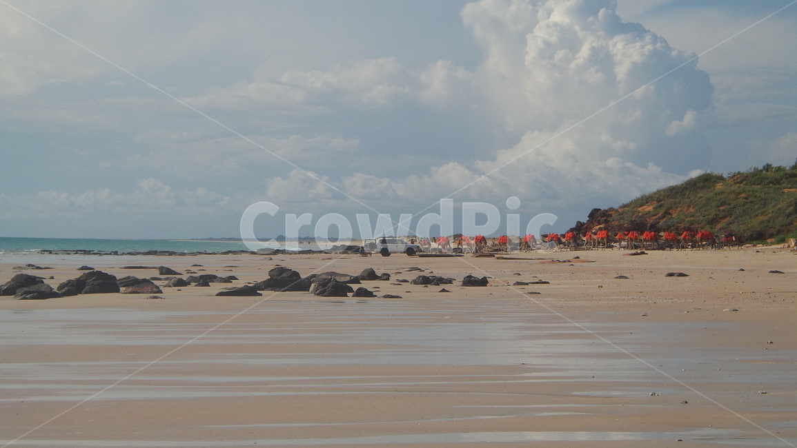해변,낙타,구름,하늘,풍경,beach,비치,cloud,camel,sky