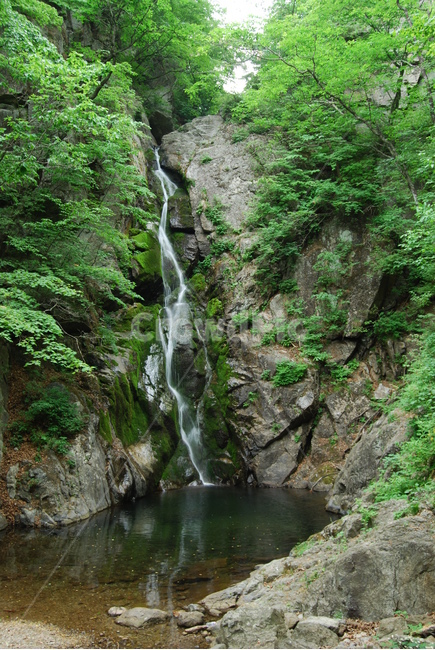 소백산,희방폭포,비로봉,연화봉,희방사,등산로,자연의위대함,능선,아름다움,신비스런산,돌,산행,힐링,자연,감성,등산,계절,여행,한국,한국명산,한국등산,풍경,눈,나무,하늘,바람,바람소리,환경,생태계,산,땅,자연,풍경,nature,landscape,한국자연풍경,한국자연경관,korea nature landscape,water,물,outdoors,옥외,river,강,waterfall,폭포