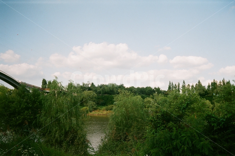한강,강,서울,당산,한강공원,자연,풍경,nature,landscape,outdoors,옥외,water,물,tree,나무,plant,식물,land,땅