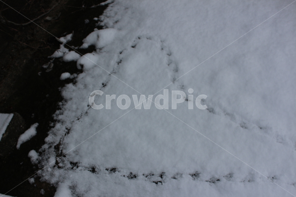 눈,겨울,겨울풍경,겨울아침,계절,풍경,분위기,색감,landscape,winter,snow,snowing