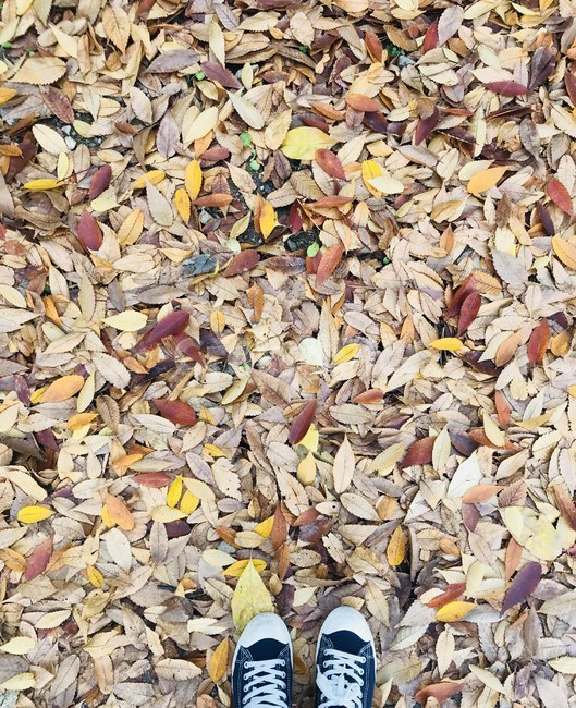 낙엽,운동화,가을,갈색,fall,가을,계절,fall,autumn,season,사람,인물,인간,human,person,신체일부,몸,body,leaf,잎,plant,식물,ground,바닥