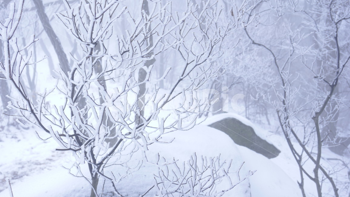 눈꽃,산,숲,바위,겨울,겨울,계절,winter,season,자연,풍경,nature,landscape,outdoors,옥외,snow,눈,blizzard,눈보라,storm,폭풍