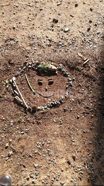 ground,흙,자갈,얼굴,자연놀이