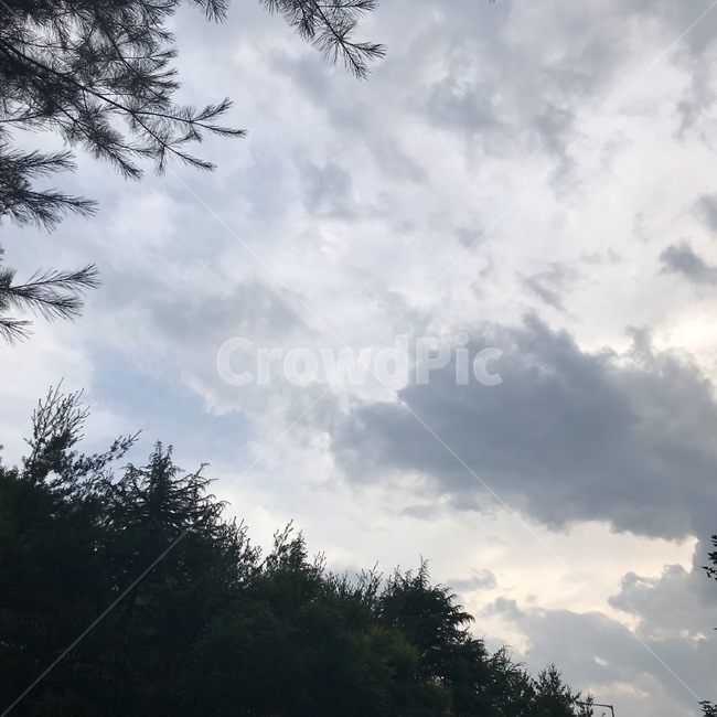 구름,하늘,sky,cloud,자연,nature,옥외,outdoors,weather,날씨