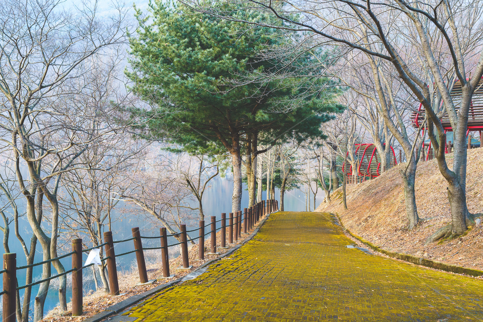 옥천,감성,풍경,나무,겨울,가을,봄,여름