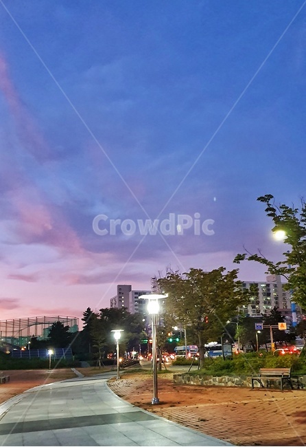 길,도로,퇴근길,가로등,저녁하늘,road,저녁