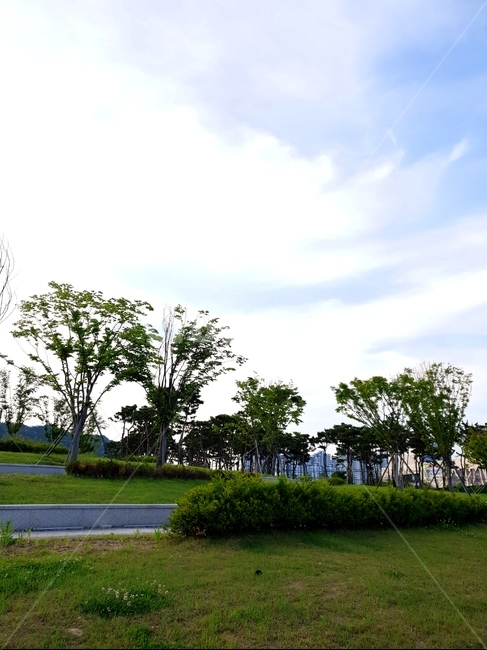홍예공원,공원,구름,파랑하늘,풍경,봄,자연,풍경,nature,landscape,plant,식물,grass,잔디