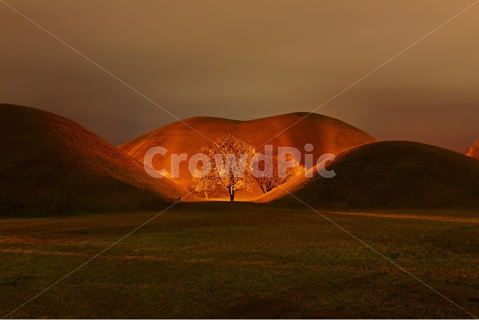 경주,대릉원,경주왕릉,왕릉아침,nature,자연,outdoors,옥외,자연,풍경,nature,landscape
