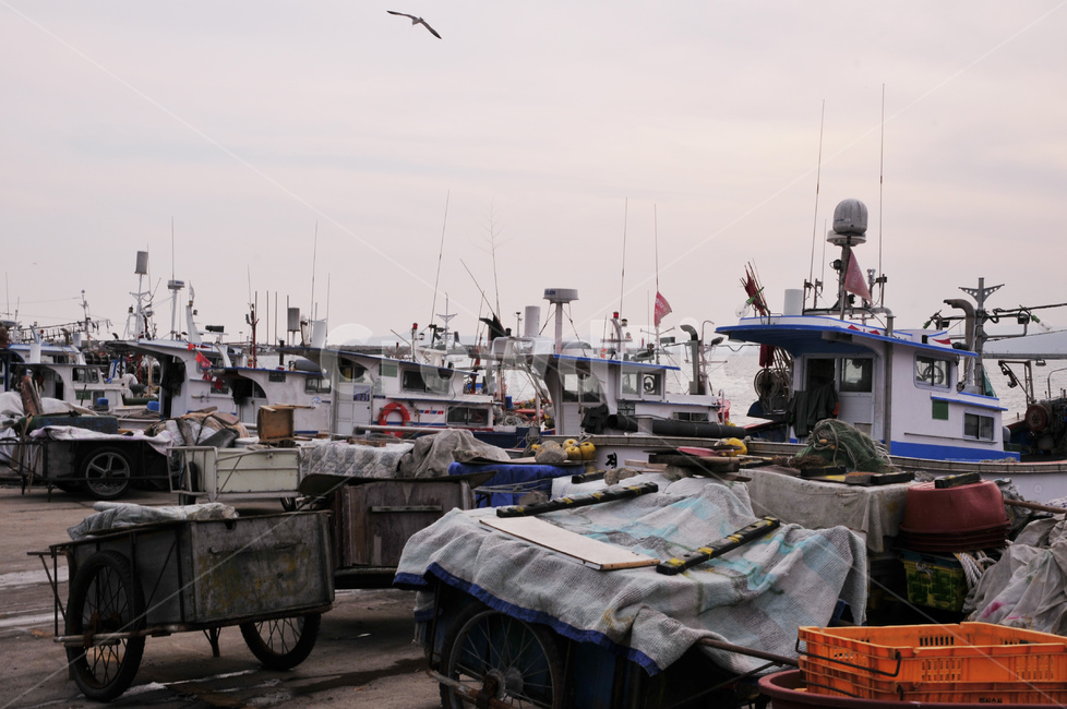 watercraft,선박,부두,어선,보트,boat,어촌,고깃배,고기배,울진,배,해안가,어업,fishery,fishing industry