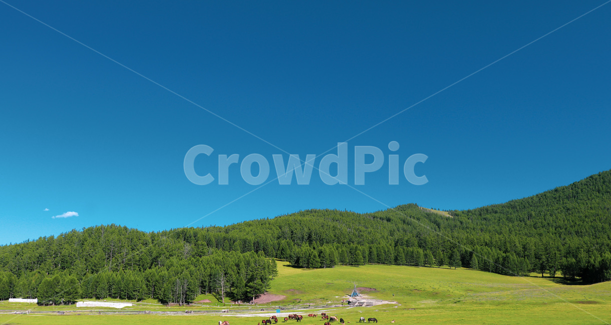 nature,자연,outdoors,옥외,field,들,grassland,목초지,하늘,sky,야생마,말,horse,mustang,자연,풍경,nature,landscape