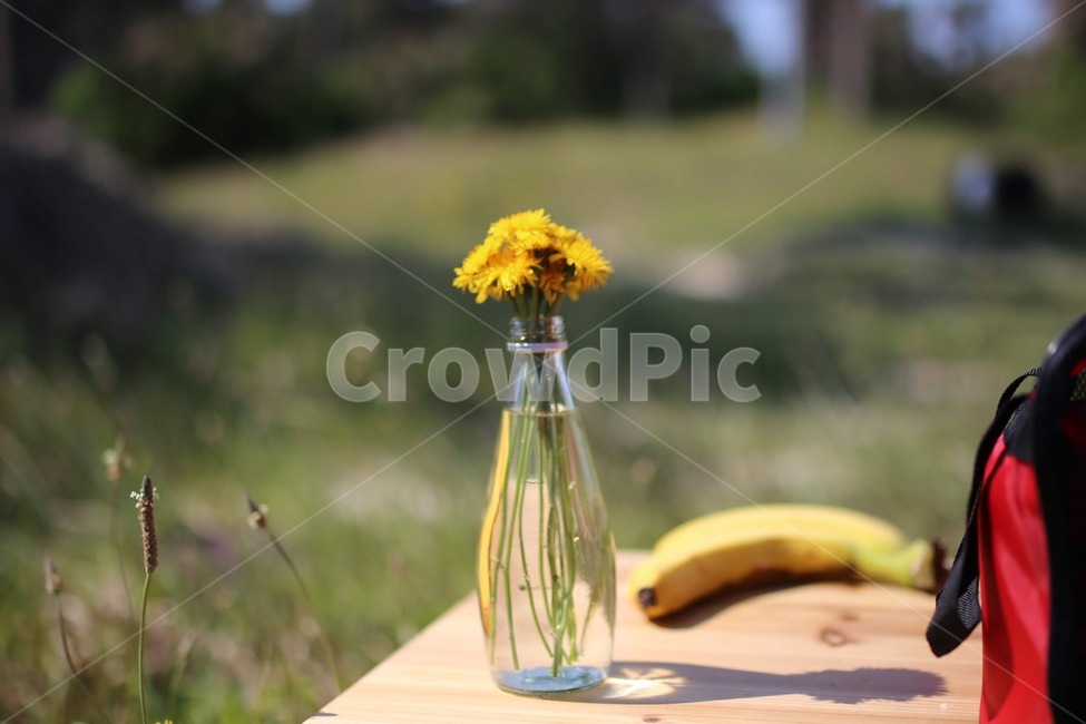 캠핑,유채꽃,food,음식,fruit,banana,과일,바나나,plant,사람,human,blossom,flower,꽃,flowerarrangement,꽃꽂이