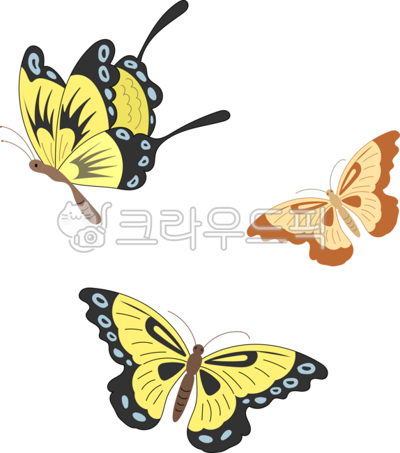 나비무리,동양화,나비,호랑나비,봄,초충도,곤충