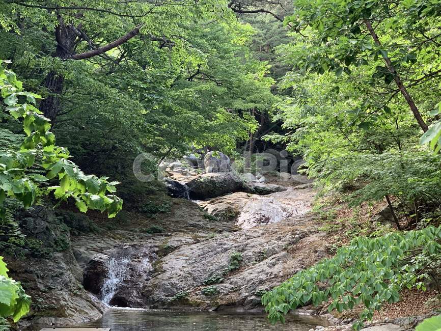 풍경,야생,nature,물,water,자연,outdoors,자연,풍경,nature,landscape