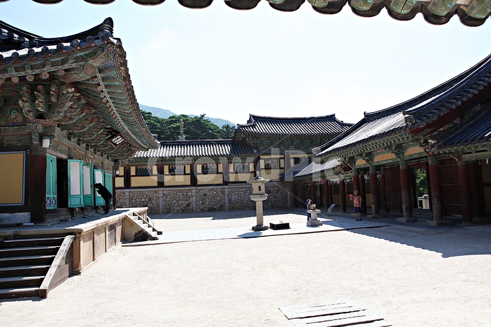 경주,불국사,절,사찰,국보,보물,전통,기와집,여름,집,한옥