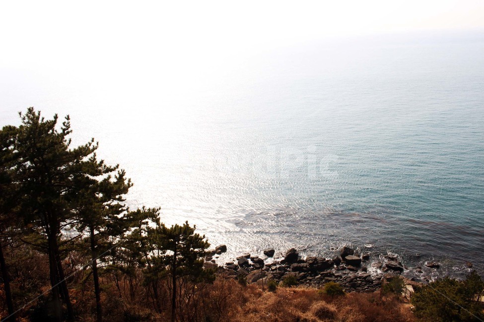 바다,바닷가,파도,해안가,수평선,자연,풍경,절경,해안도로,하늘,절벽,해안절벽,나무,윤슬,물거품,부산,겨울바다,파란색,바위,자연,풍경,nature,landscape,tree,plant,식물,promontory,곶