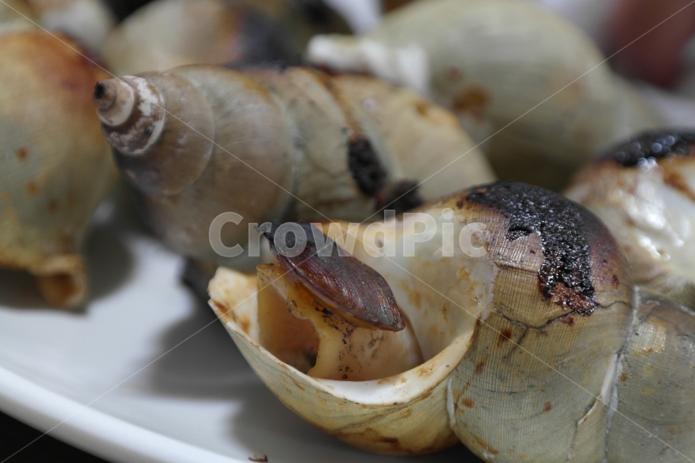 통골뱅이,골뱅이,직화구이,술안주,골뱅이구이,음식,식재료,요리,food,cook,meal,dishes,food reserves,수산물,해산물,fishery products,seafood