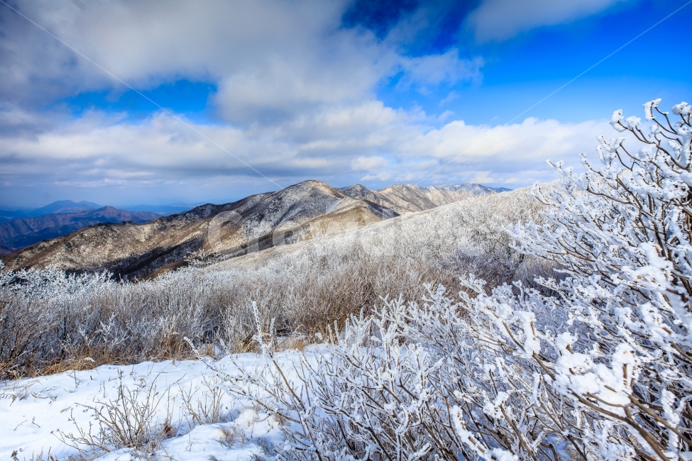 소백산,상고대,눈꽃,소백산상고대,죽령,겨울,계절,winter,season,자연,풍경,nature,landscape,한국자연풍경,한국자연경관,korea nature landscape,제주도,jeju,jeju island,outdoors,옥외,plateau,고원,mountain,산,mountain range,산맥