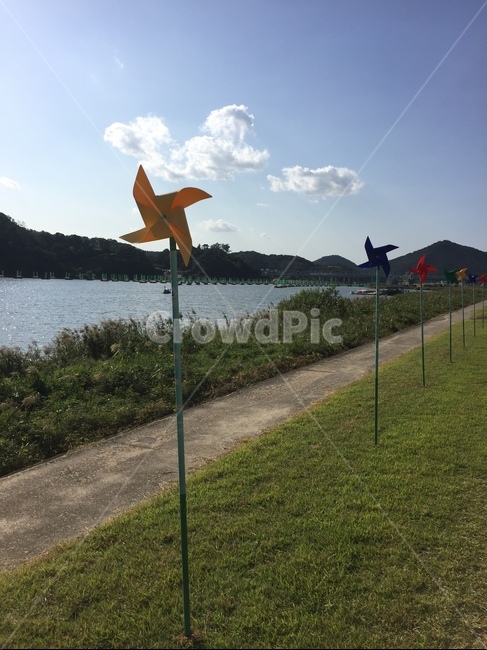 바람개비,강,바람,잔디,공원,풍경,자연,산,구름,여름,놀이,맑은,파란하늘,river,park,pinwheel,자연,풍경,nature,landscape,plant,식물,leaf,잎,animal,동물,bird,새