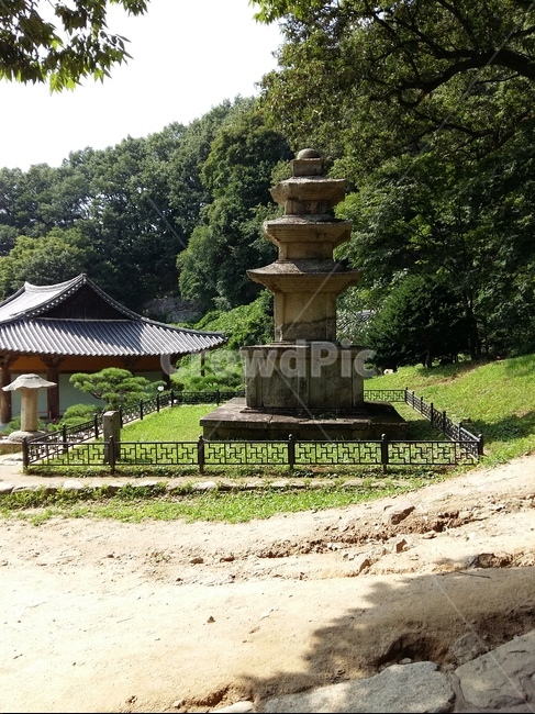 문화재,석탑,사찰,절,자연,나무,숲,산,길