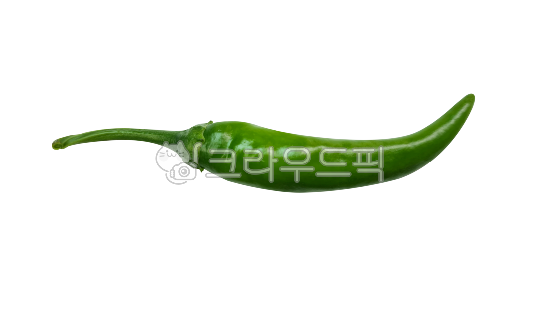 식재료,음식재료,고추,청양고추,매운고추,야채,채소,농작물,풋고추,재배,여름,농산물,농사,농업,작물,밭작물,열매