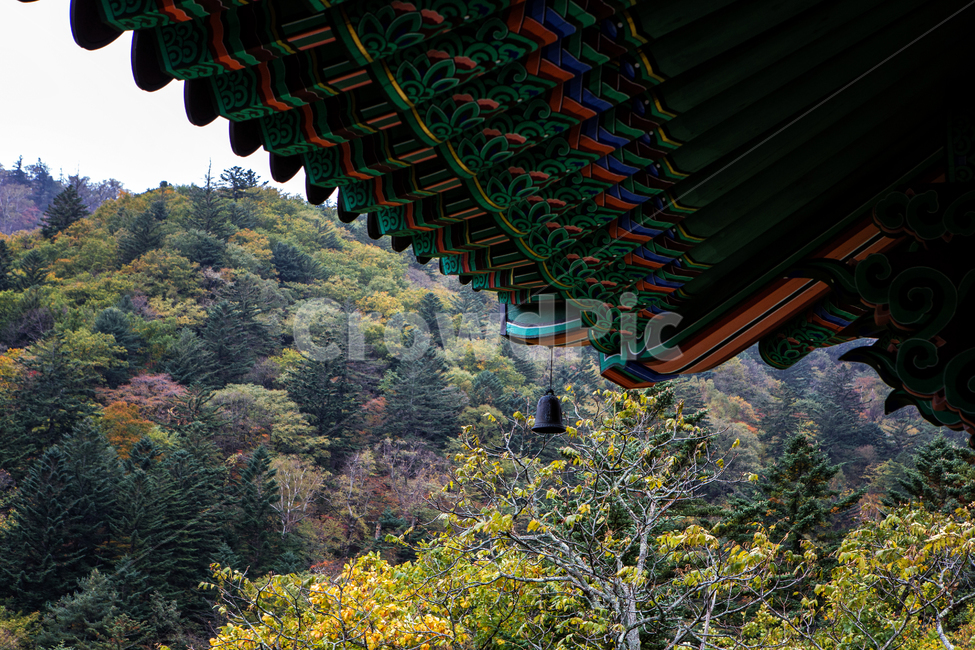 강원도,상원사,절,사찰,오대산,울긋불긋,평창군,한국,나무,식물,실외,풍경,가을,단풍,기와,배경,가을,계절,fall,autumn,season,한국전통,한국문화,korean traditional,korean culture
