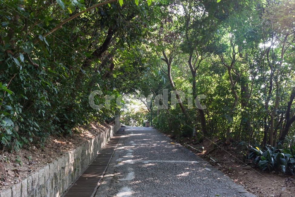 garden,정원,outdoors,옥외,공원,길,나무,park,road,street,tree