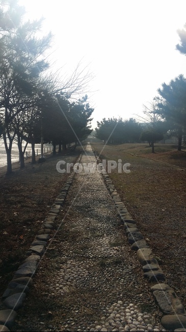 자연,나무,돌길,하늘,돌,tree,road,sky,stone,자연,풍경,nature,landscape,dirt road,흙길,gravel,자갈,도로