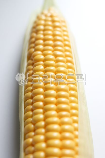 corn,Chodang Corn,yellow,vegetable,food,corner,summer vegetables,plant,ingredients,9yearold crop,per second