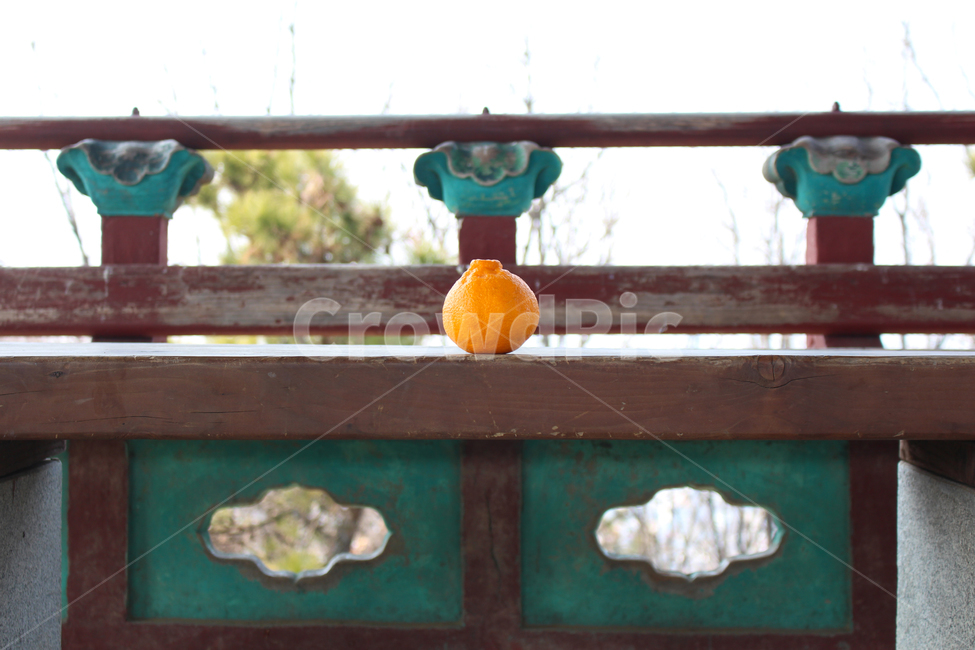 오렌지,건축문양,나무건축물,노랑색,초록색,orange,architecturalpattern,woodarchitecure,yellow,green