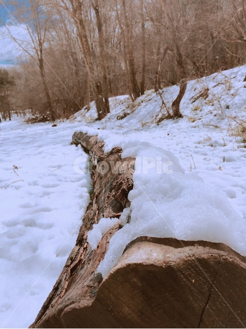 겨울,winter,눈,snow,산책