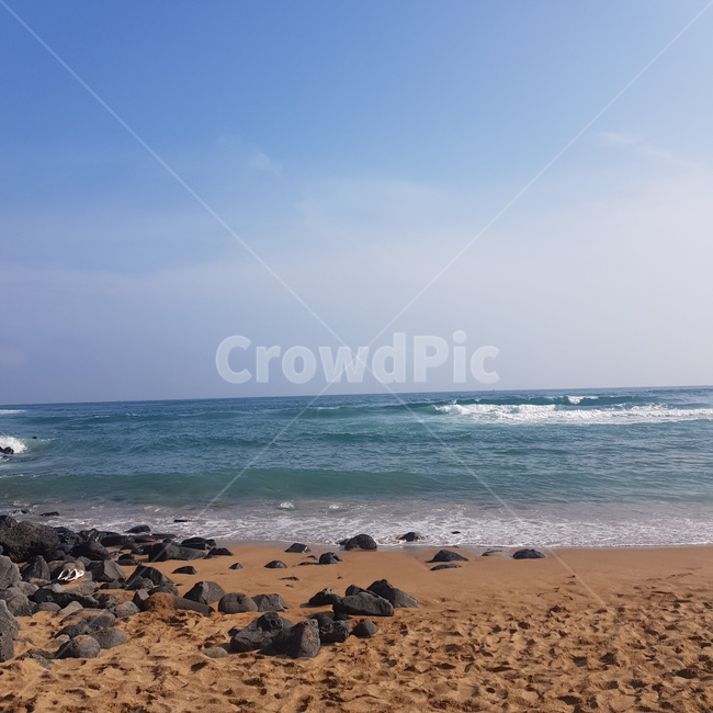 바다,제주도,제주,현무암,하늘,구름,풍경